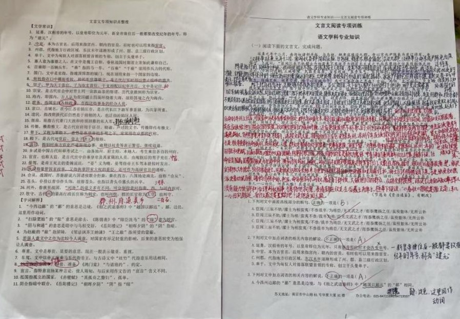 图3语文学科知识基础学习.jpg